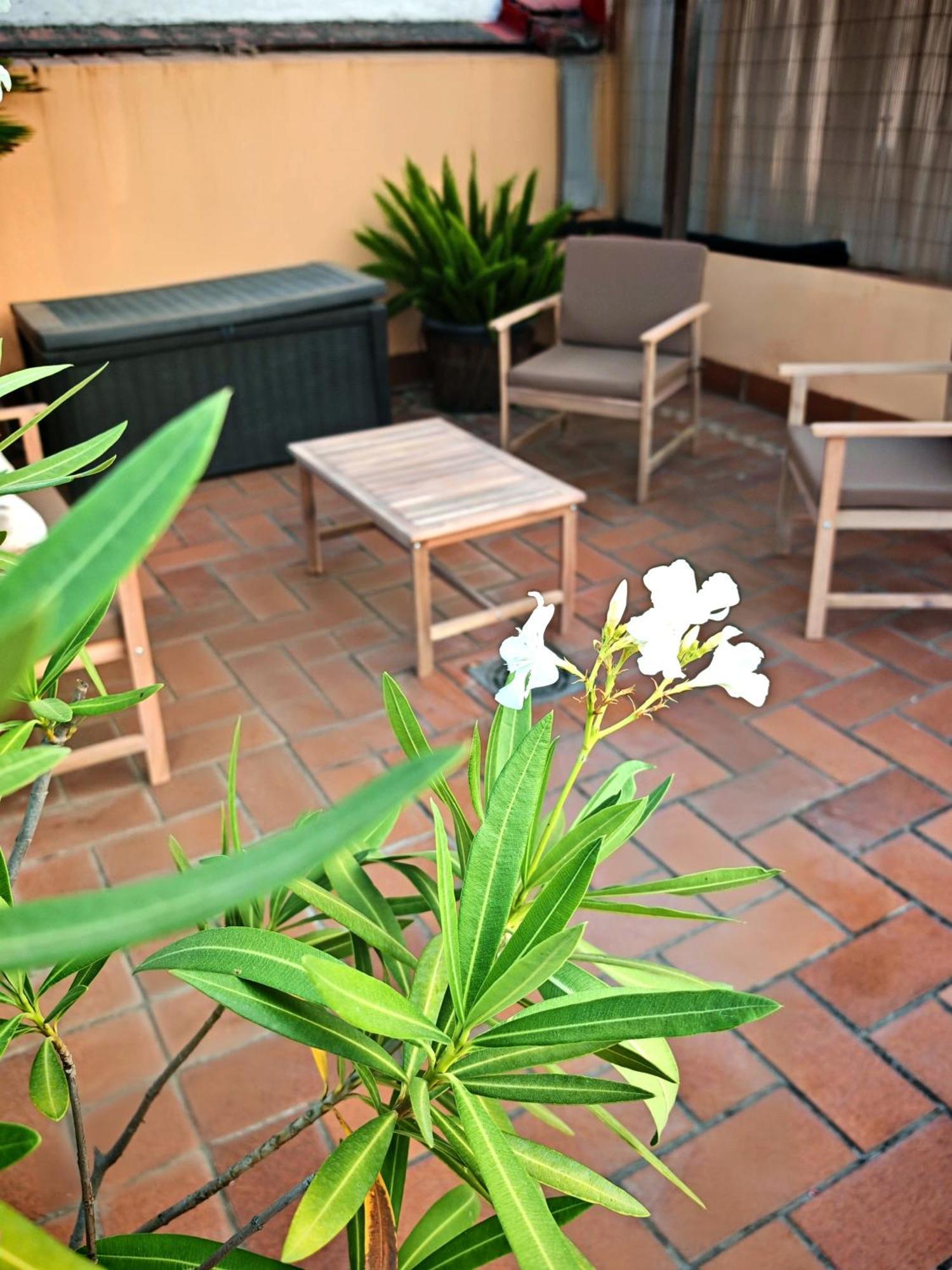 Luxury Rooftop - Space Maison *